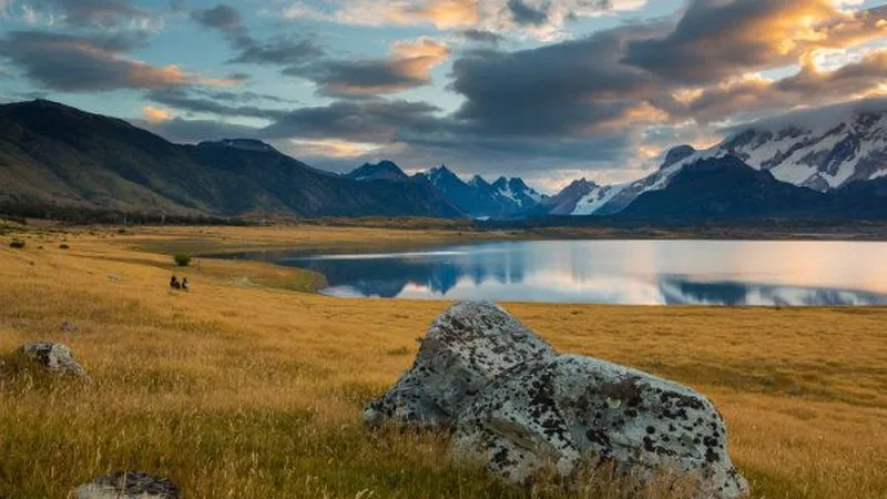 Actividades rurales en Estancia Nibepo Aike, El Calafate