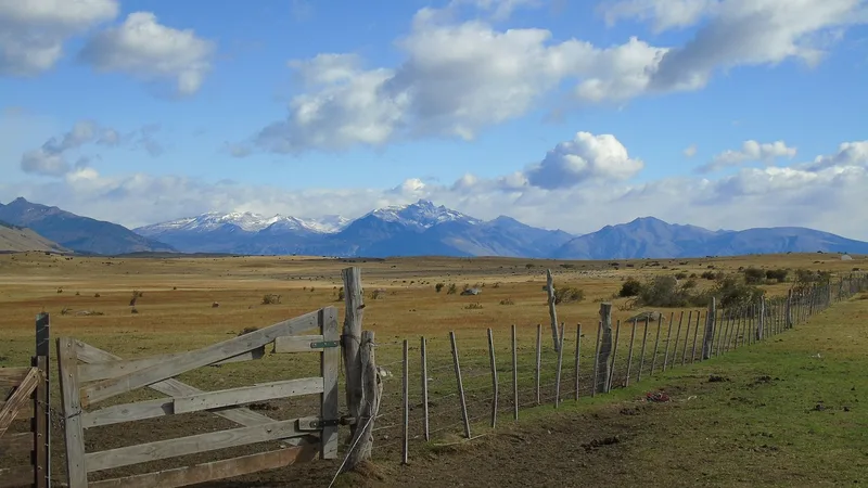 Paisaje del Río Mitre rodeado de bosque patagónico