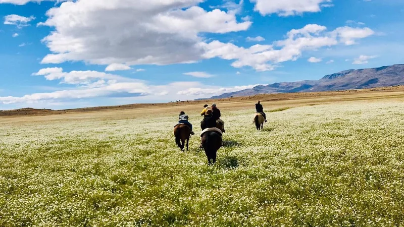 Excursión al Río Mitre desde El Calafate en transfer privado