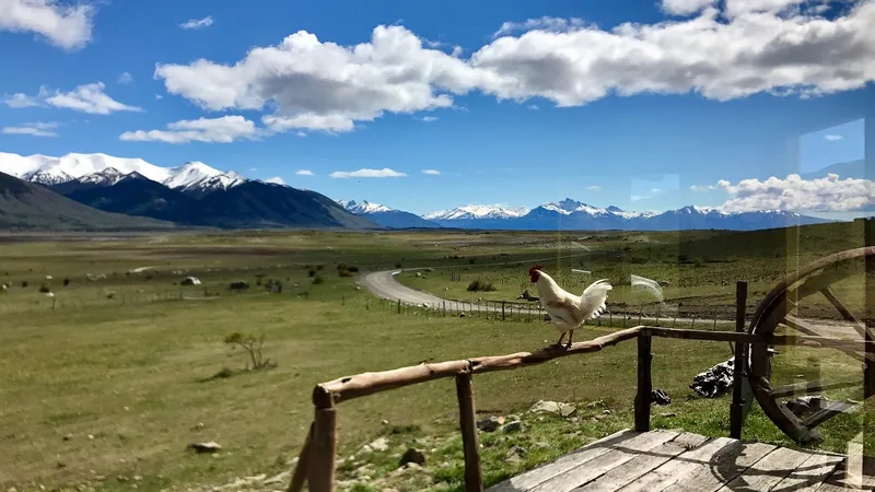 Naturaleza y aves en el Río Mitre, Santa Cruz Argentina